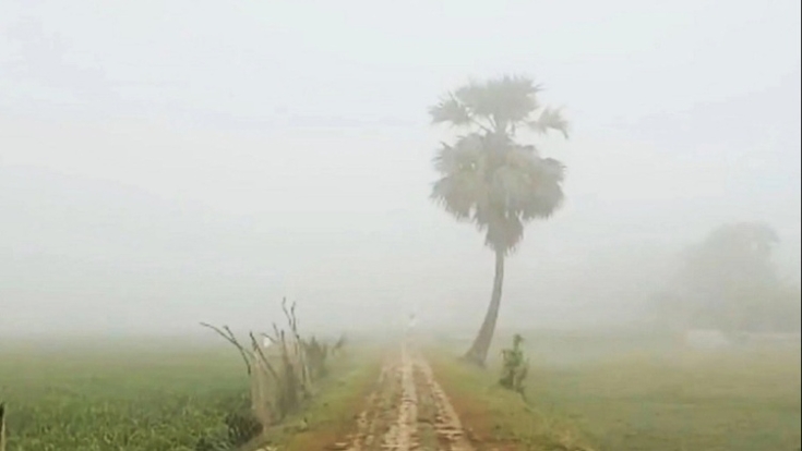 বাড়তে পারে কুয়াশা, তাপমাত্রায় সামান্য ওঠানামা